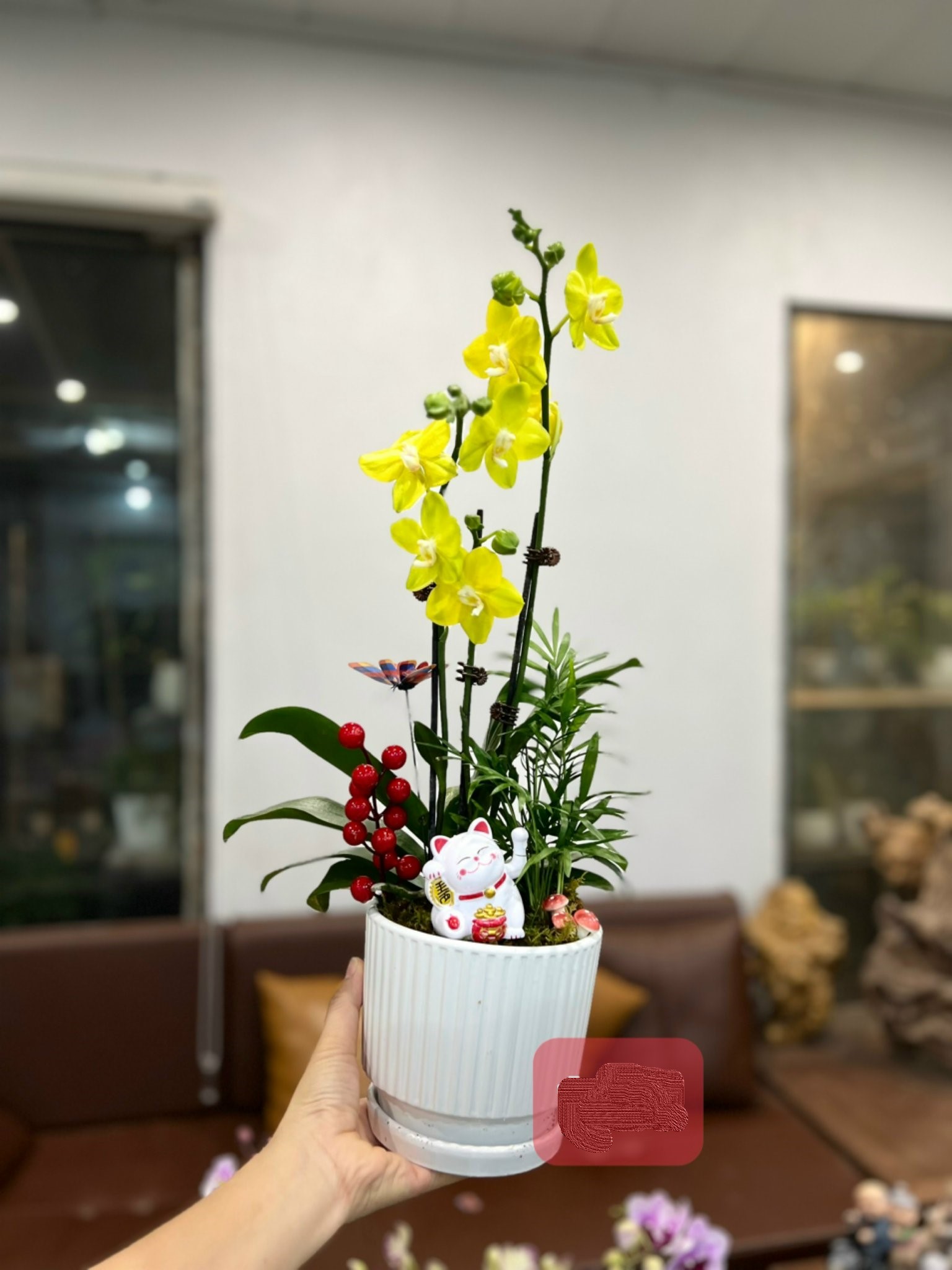 z5047641818602_7a2f9a20c81731d85c7dc9c4d2a839e5