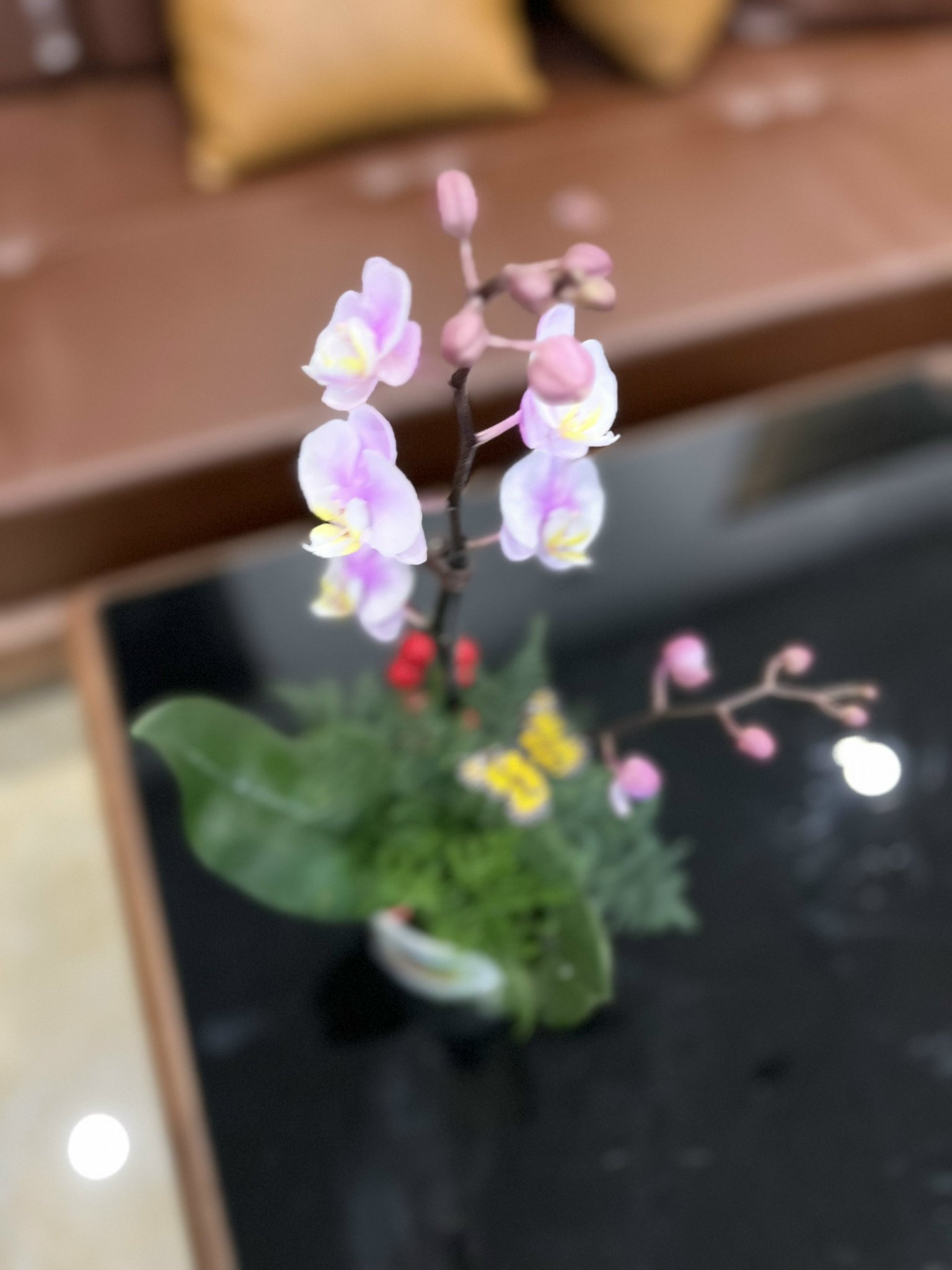 z5047641826402_b36b16a4e5b259bdb23d1b542c42b1bc