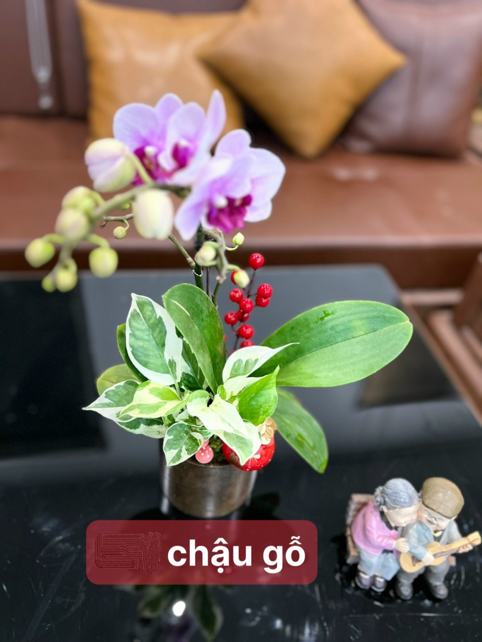 z5047641828460_e0cbd1cd1fa4814a7e36aa0bbb52e2cf