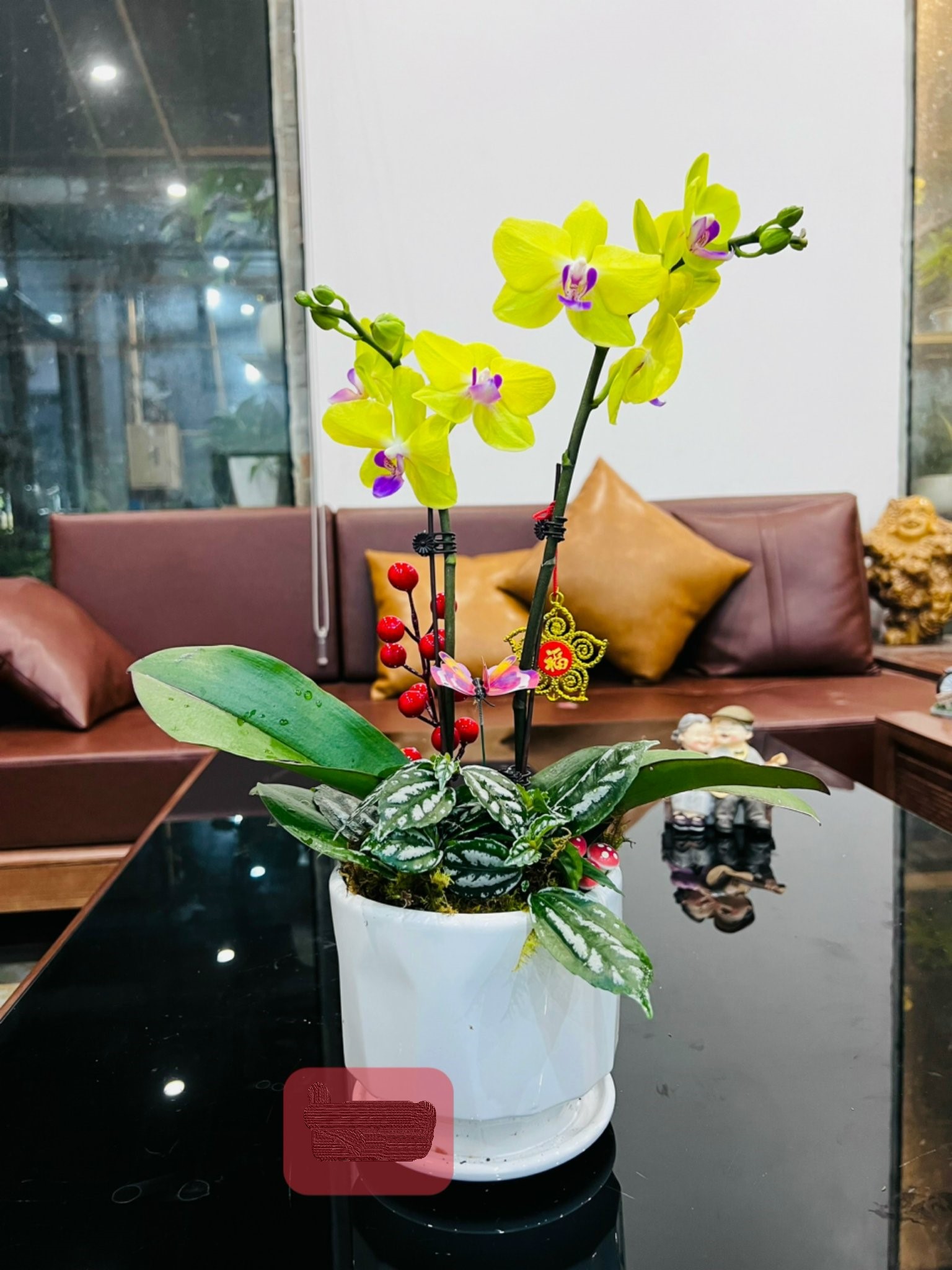 z5047641838062_d5f86c257e51c477b17e22d74e06ae3d