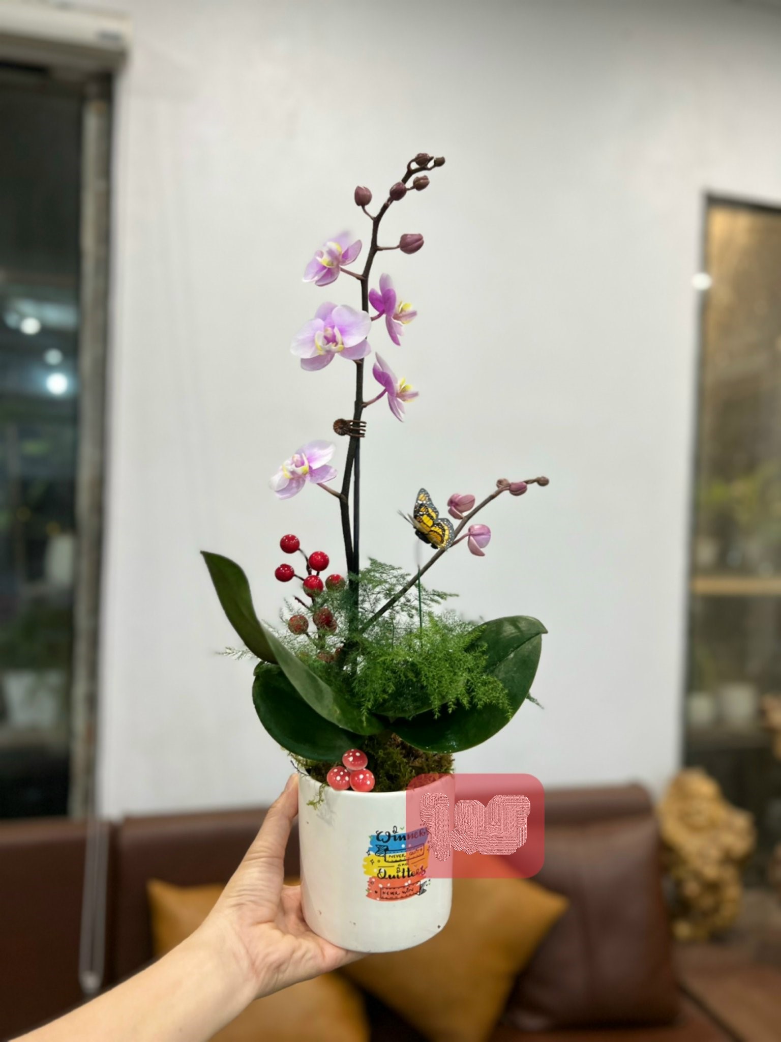 z5047641857173_24b58e82df2fa179971c10563b3c529e