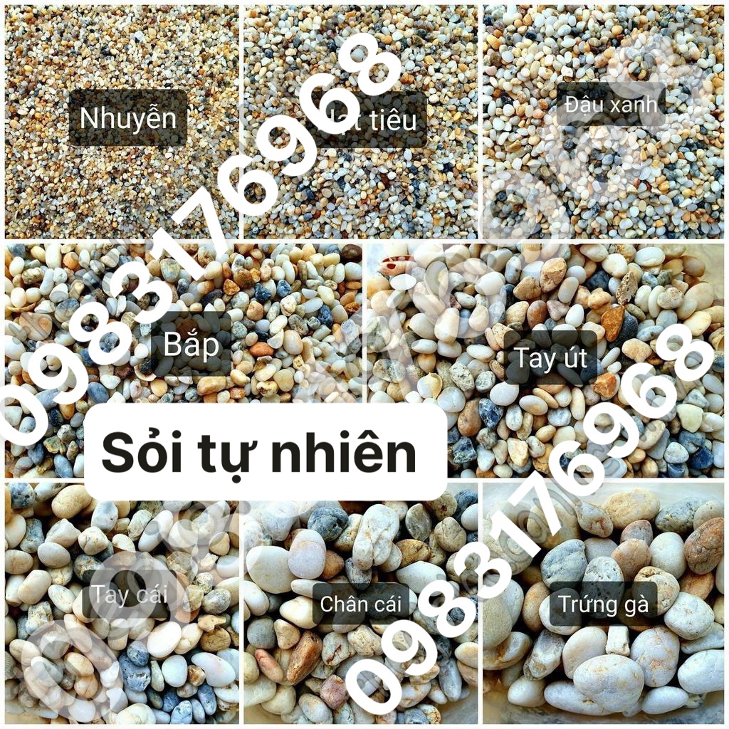 z5047740937768_f74eca35ce2ce7d35471e98af5606c88