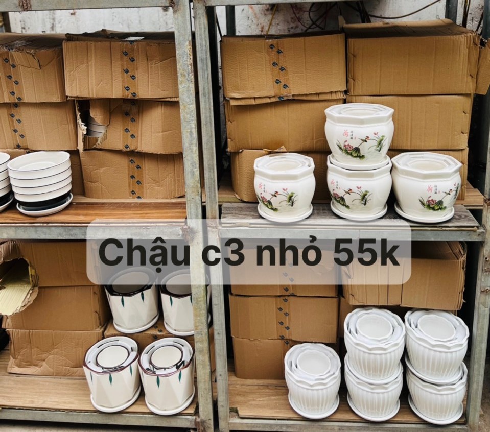 z5047793609099_d06c1fb5db0f625f49db422330378b4a