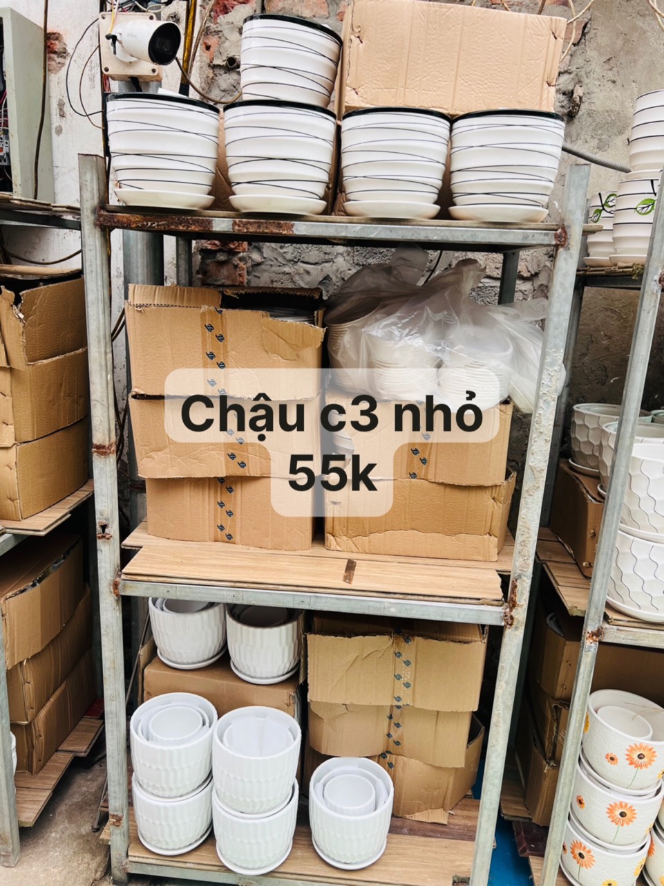 z5047793718977_71acabc9afe56fa36b266c1c83e0c013