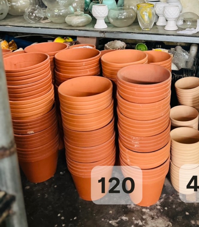 z5047794006230_e02c33f5232f76f6bb14b2cd56eef662