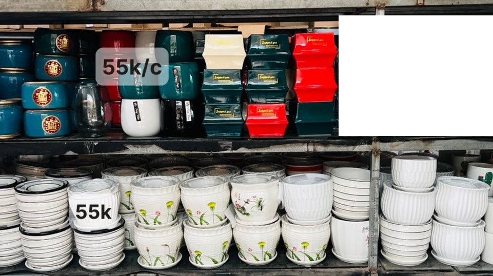 z5047794019430_12517a7bbeec689c42972b9f6a7981de