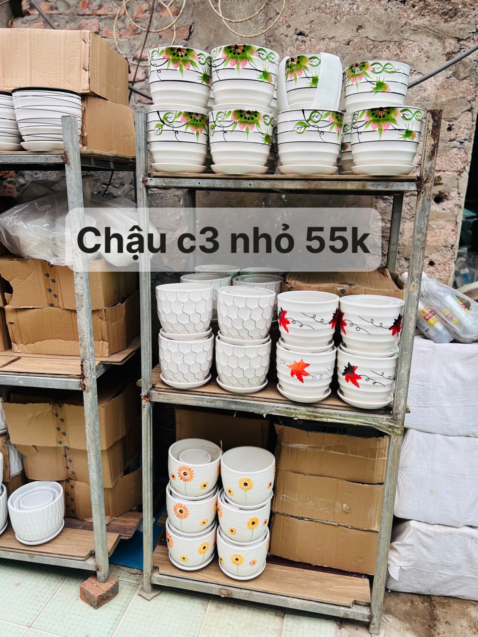 z5047794039605_3742b86fc74c0fbc1b6b1b3d0c249416