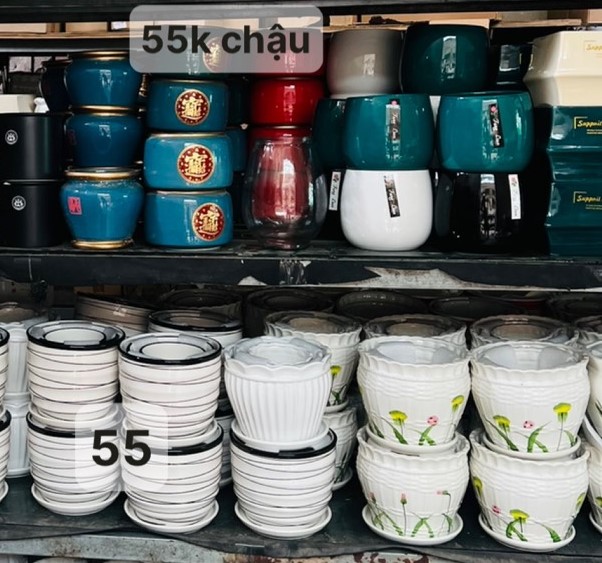 z5047794051375_0e970b614a303b4d07d3b6668141d