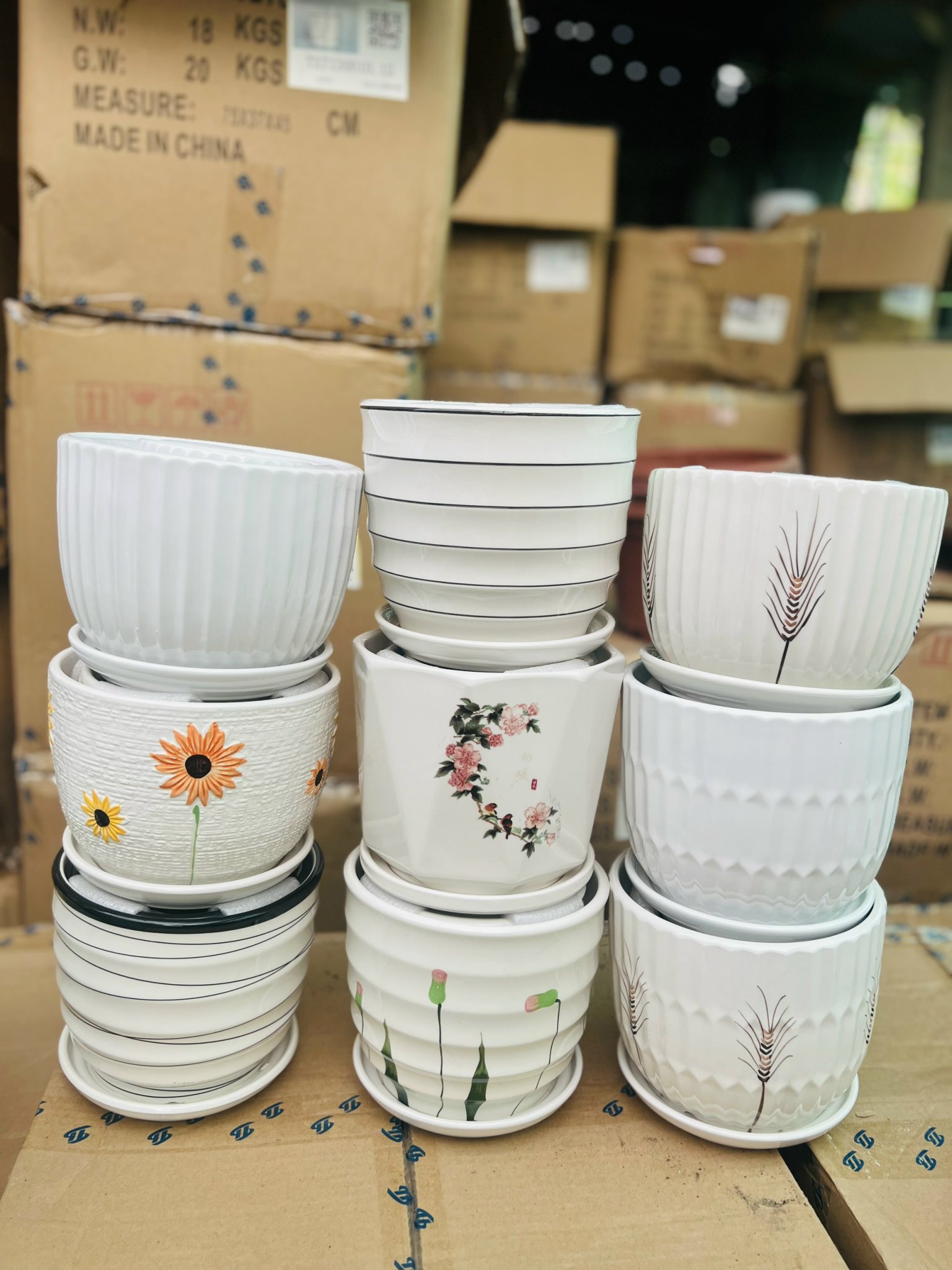 z5051172637906_9d0dc3739babfe91210f5e431f061507