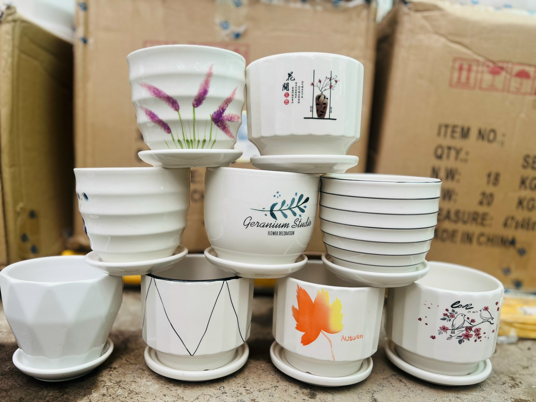 z5051205488806_4675c592779647eddac381190bd18d76