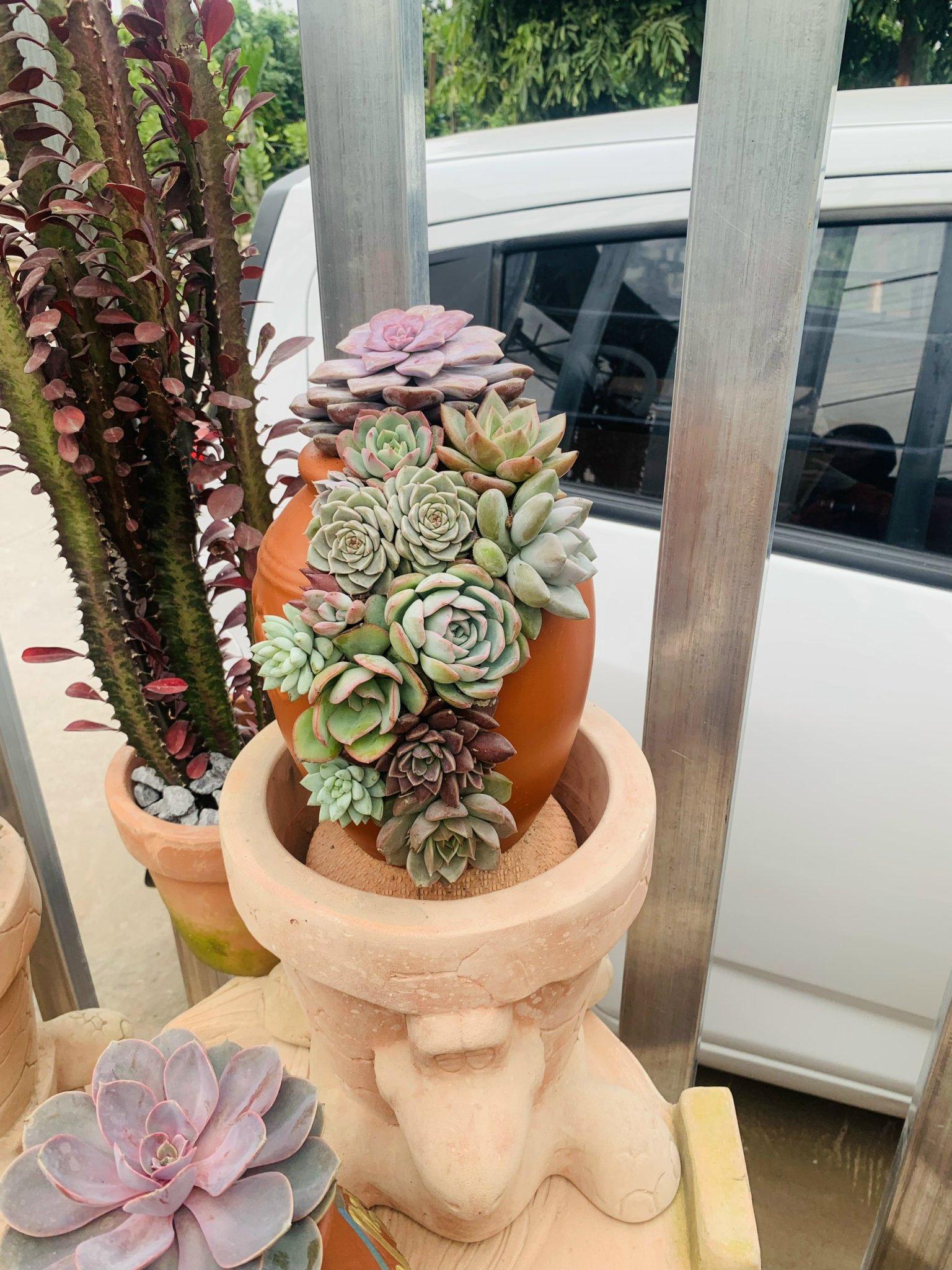 z5063810355286_8624d37ae44d8614ba9088909cb97f35