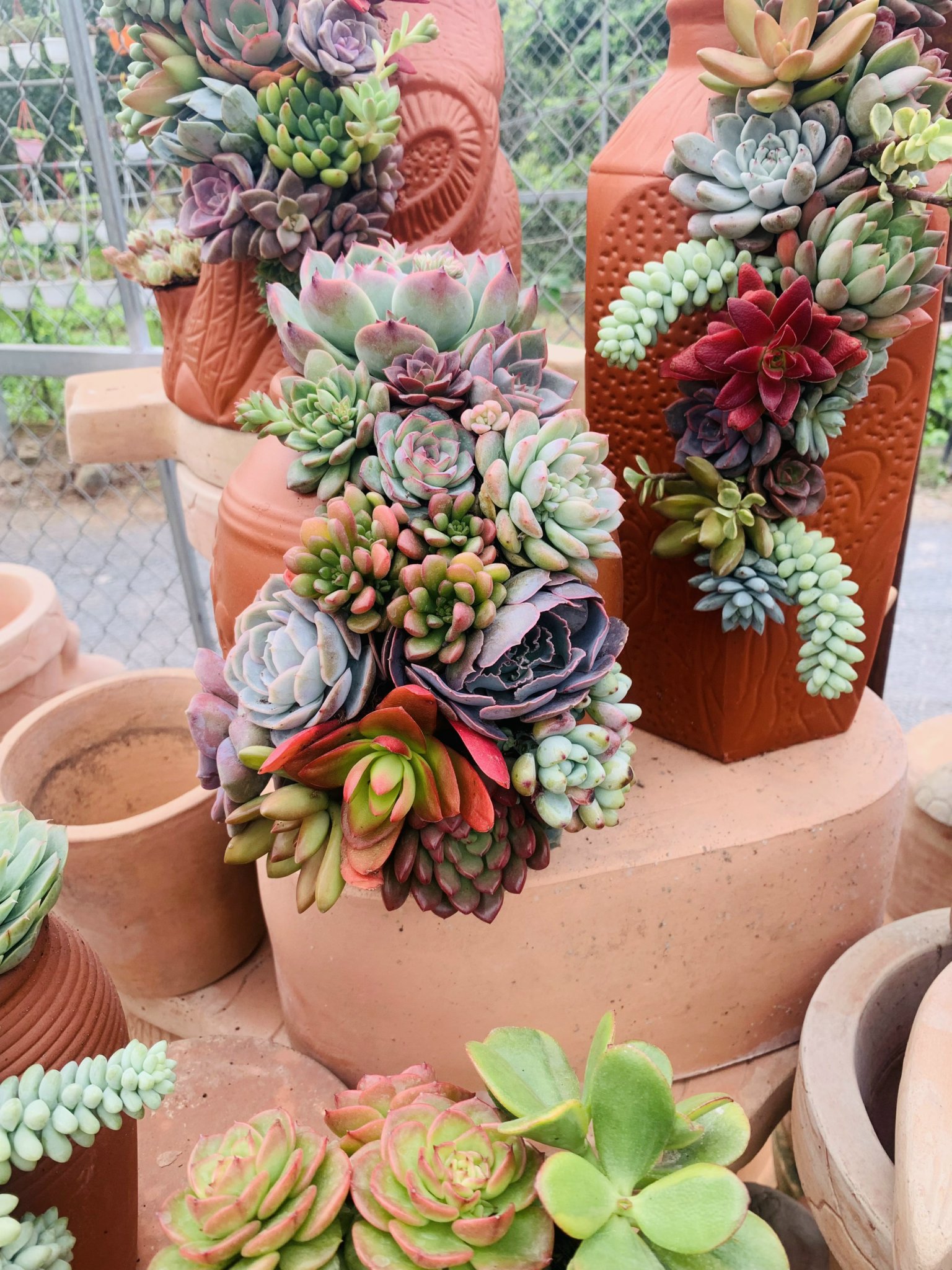 z5063810373358_3bf2aba20eed6e5dc6ae6808ecd1c8f7