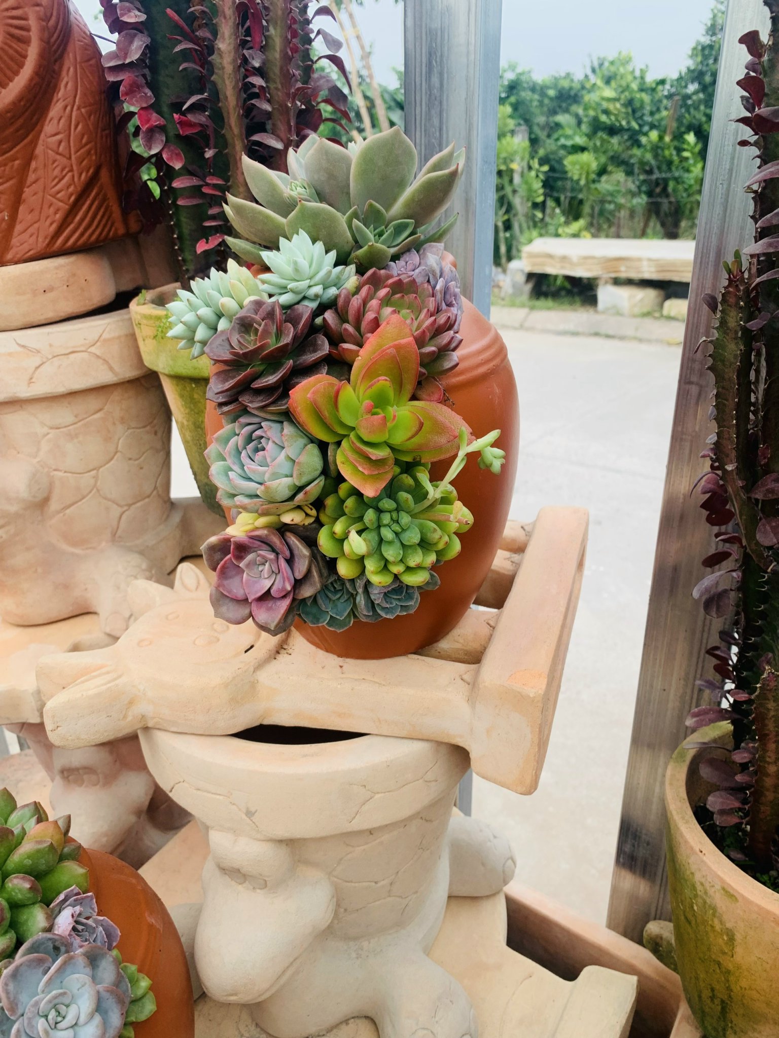 z5063810387651_b4778e64a10f543c11c479655f612963