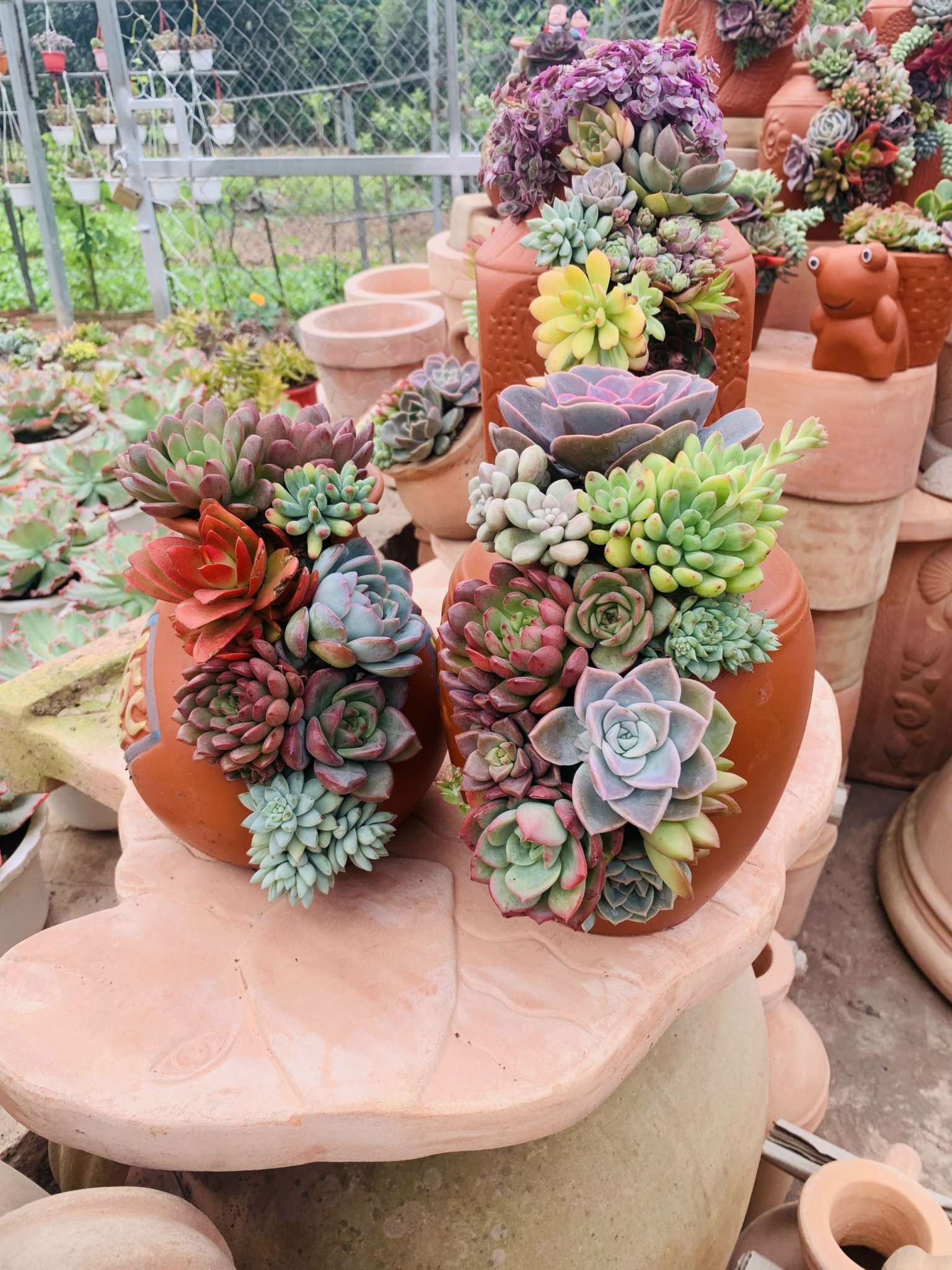 z5063810427911_0c42f1ec63769da7326abfc215350623