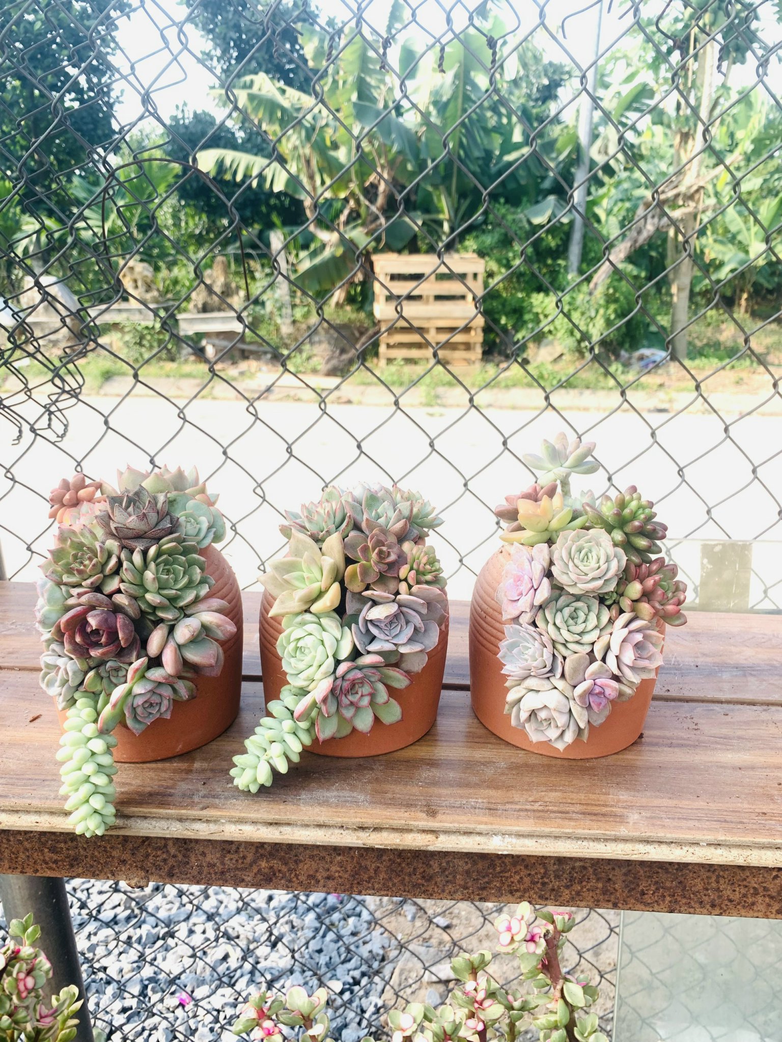 z5063813225520_11f2e5fdb92917c1131da7ff833d6aeb