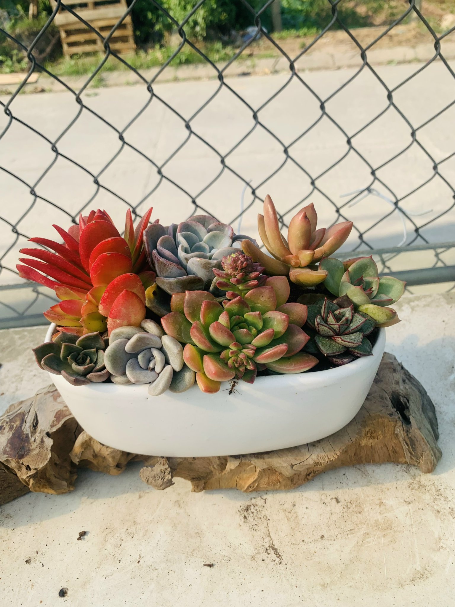 z5063813261545_26df103c4603d4b286edefc890834cf6