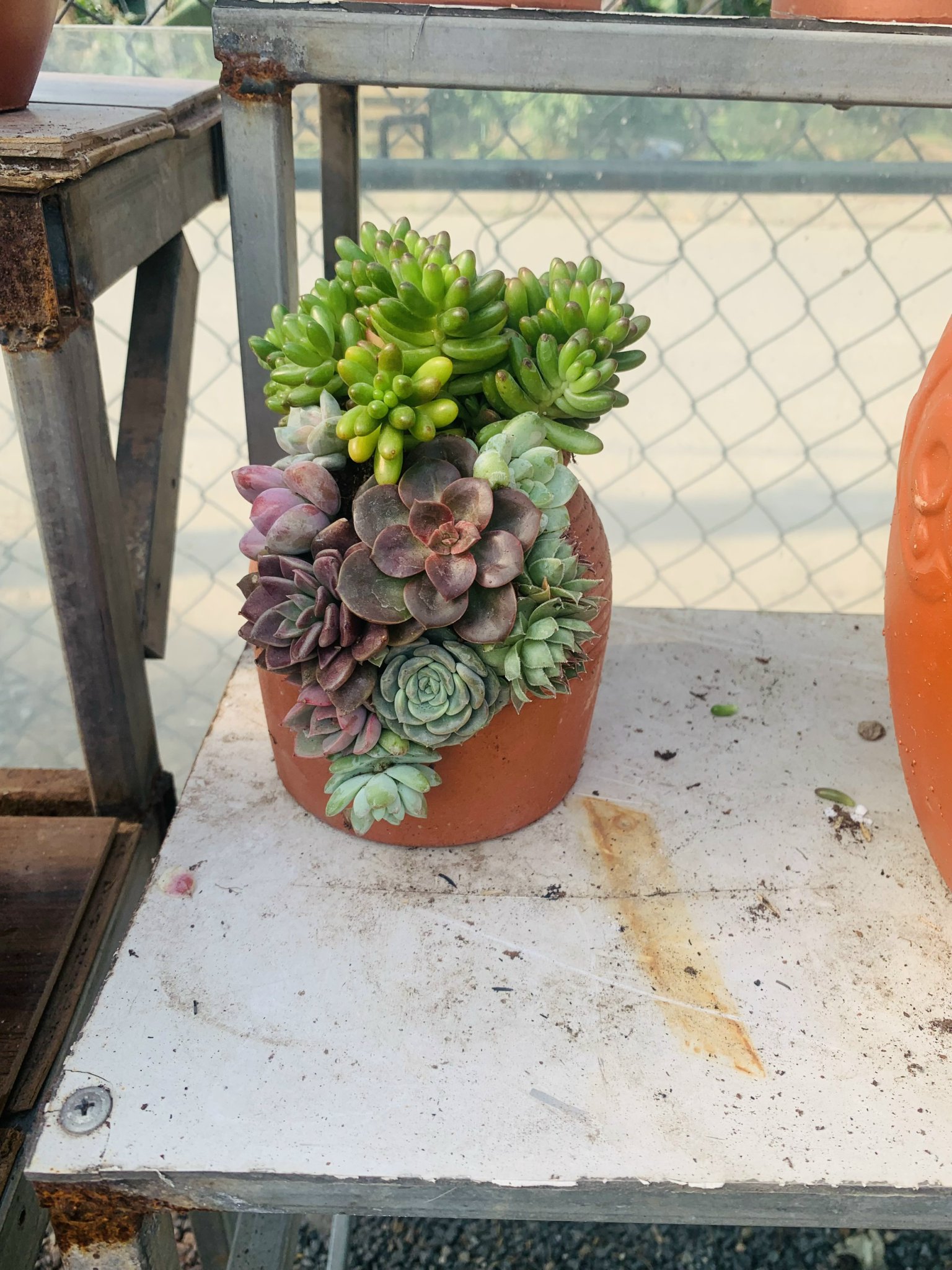 z5063813263988_ac5cd01bdd3899600a0283b3c7995ef9