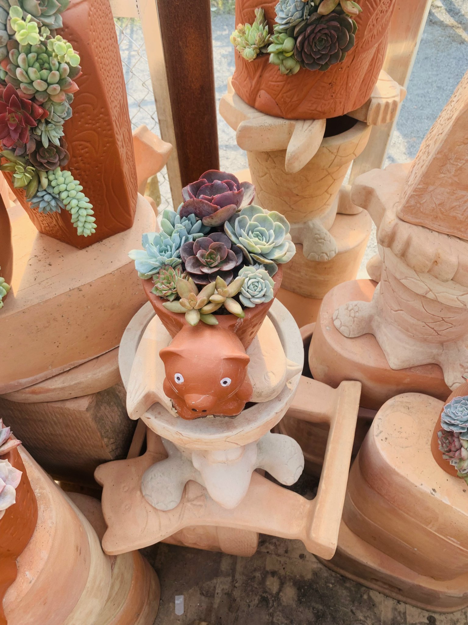 z5063813290283_08e7075e91271a2a168dd1ff01990ee7