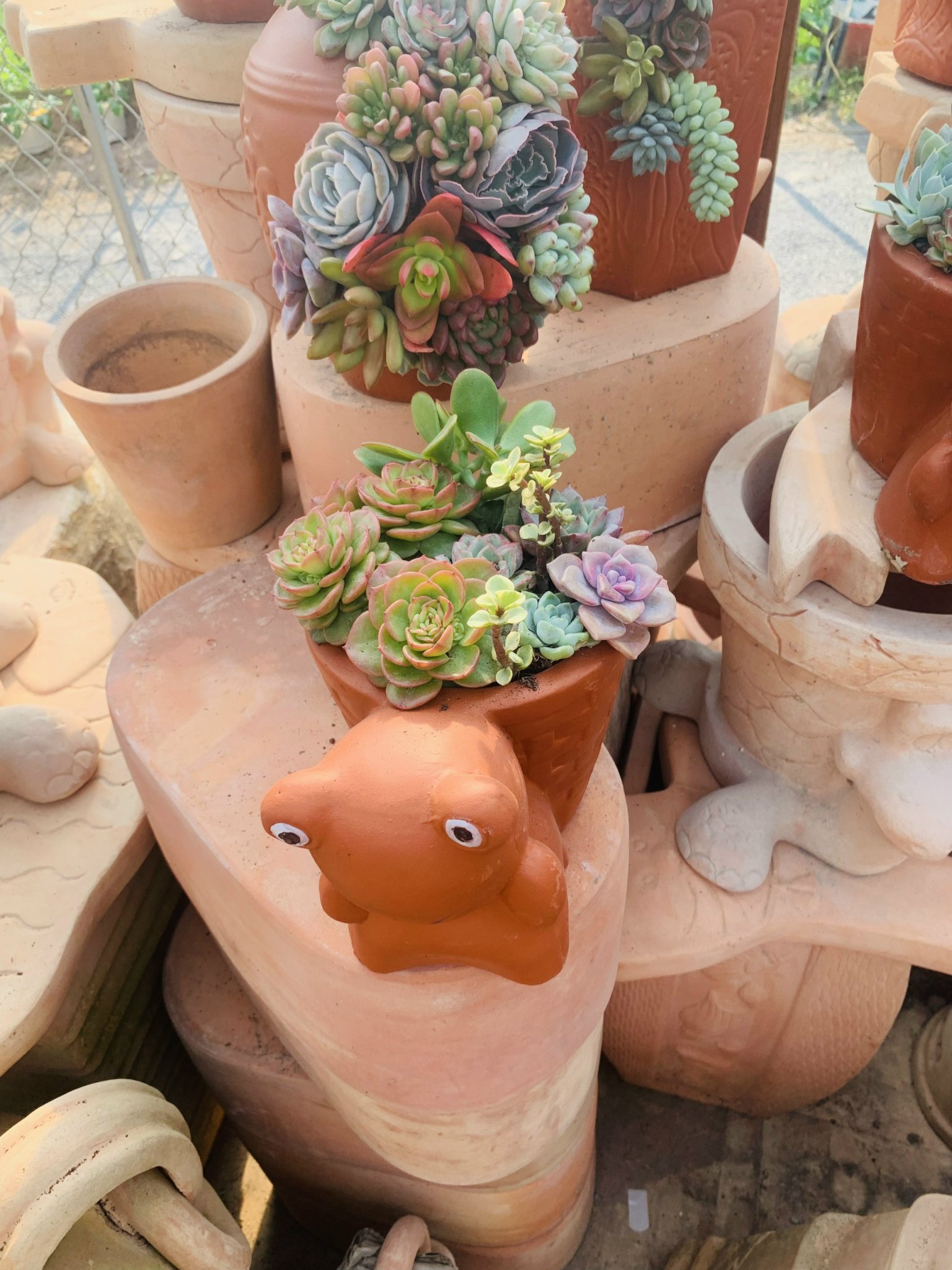 z5063813291420_5e895a5e38353d2f4c45fde94c0e9982