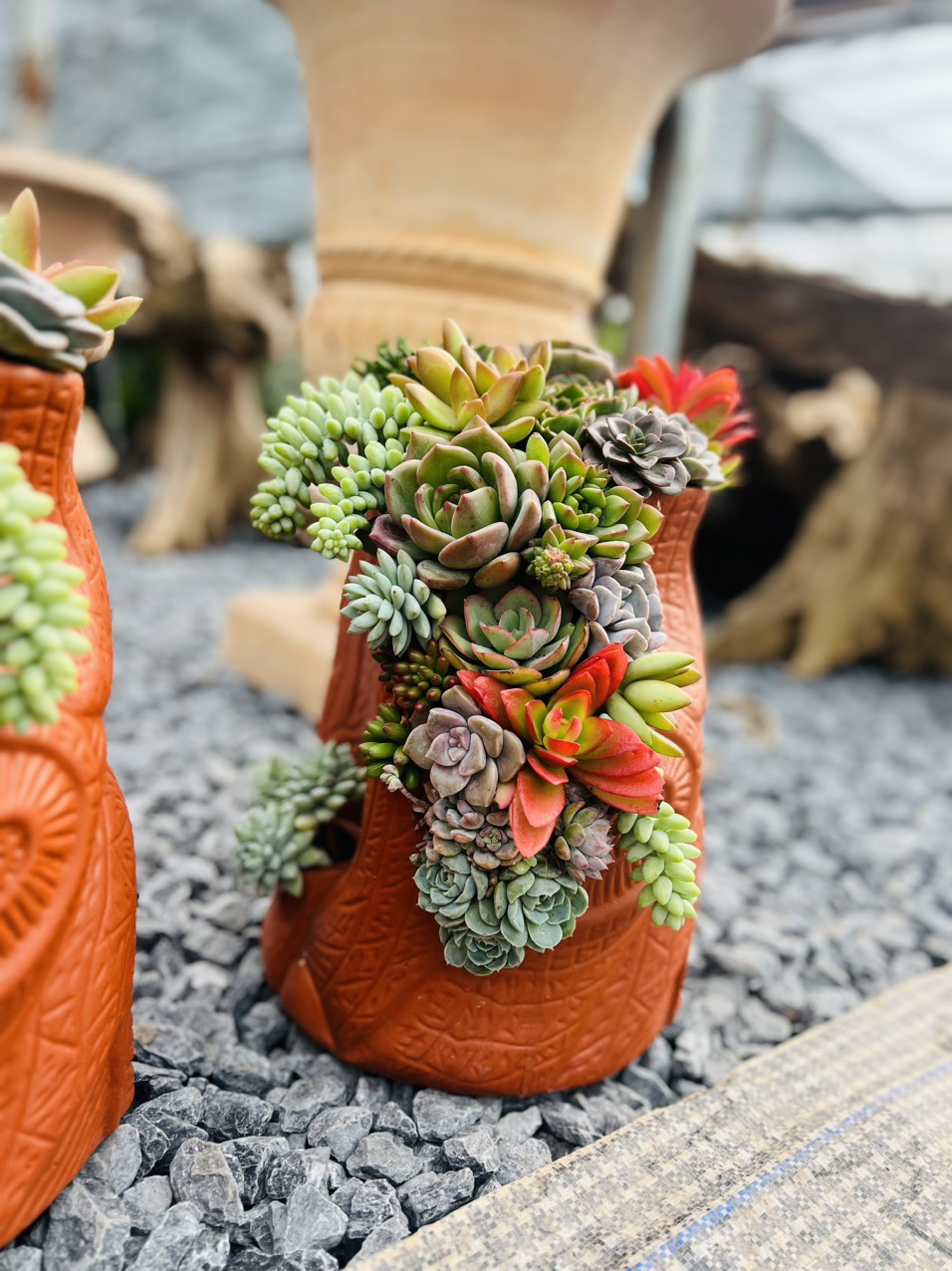 z5063814283755_5e7055788d66211b2ad0988fb064cfbf