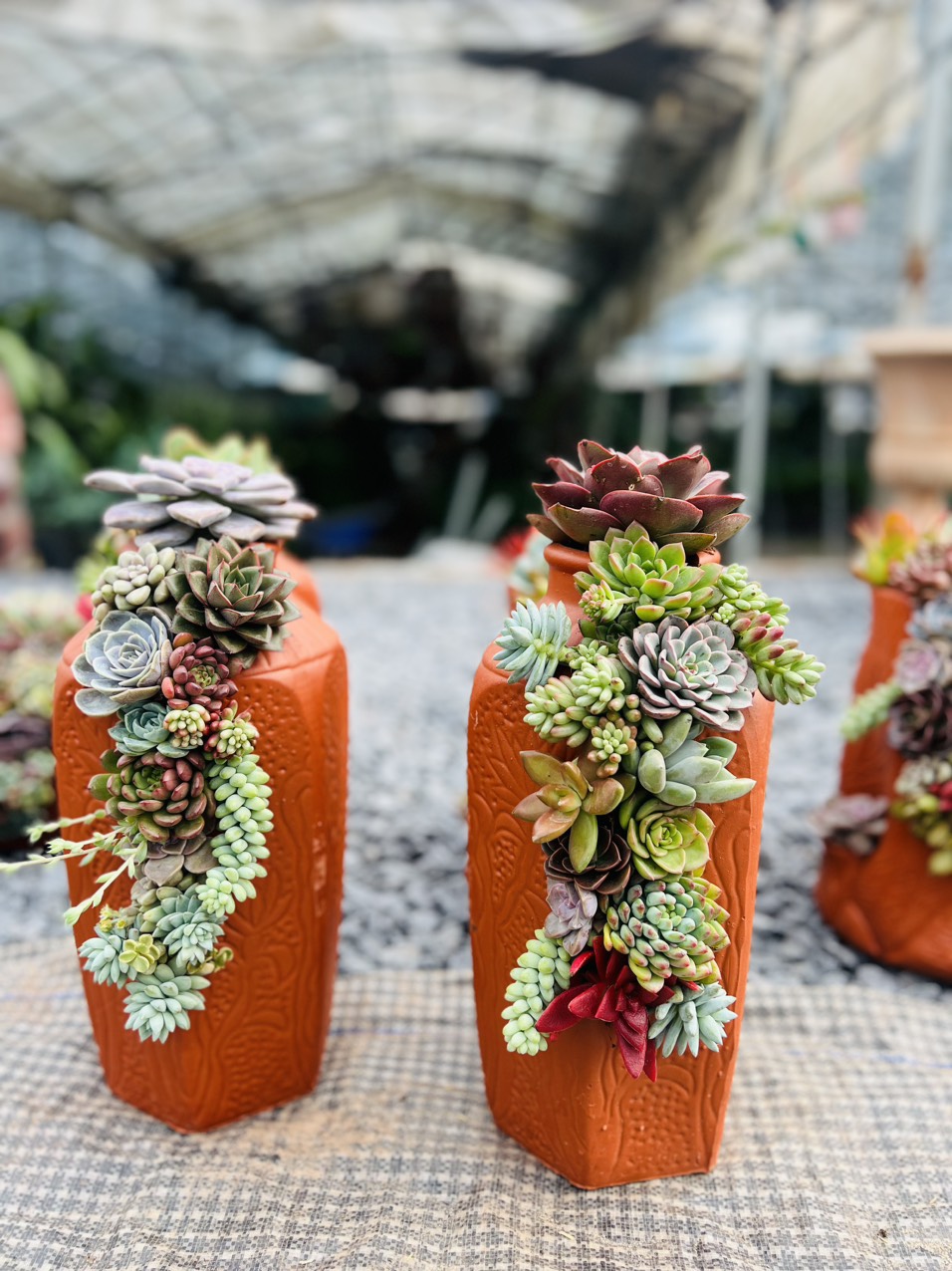 z5063814286959_cfe0c5a1efba2b8010828715f71847d7