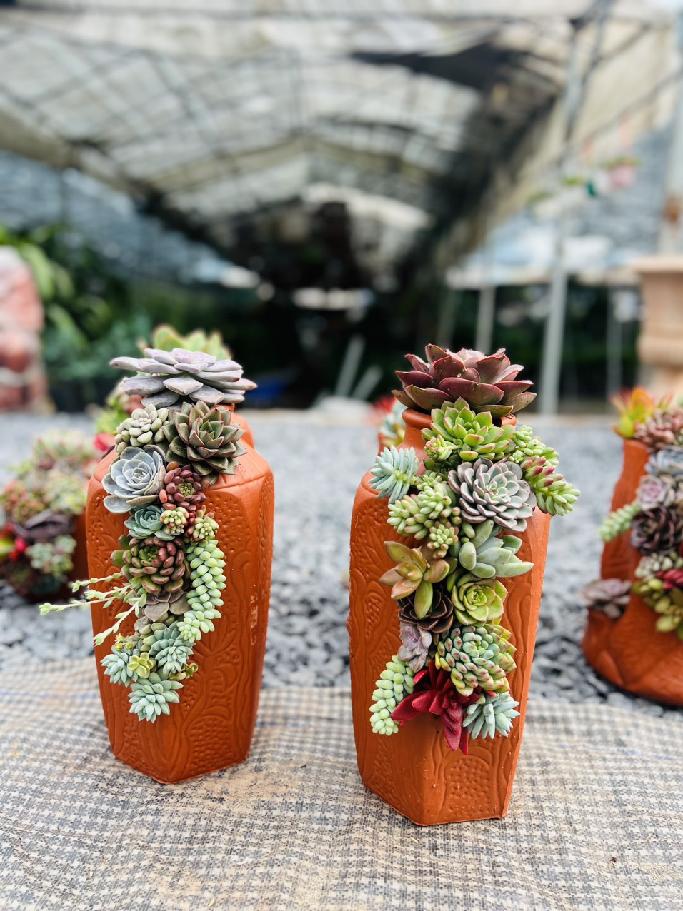 z5063814287208_6c4f08f51ba51e22d4b1f04738ff6d55