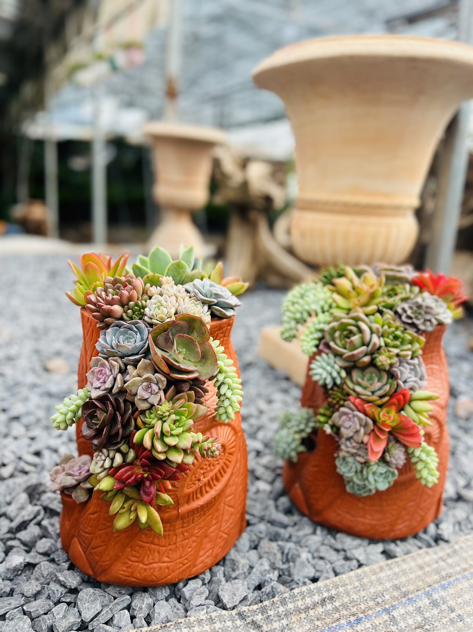 z5063814295319_20e82d4bf8e85e594e548d3ed6c6c58c