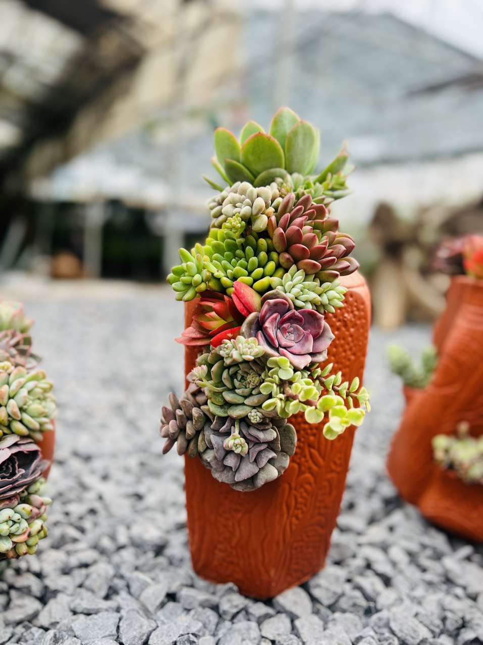 z5063814303773_ebeb0152cac5e99ead3f2c638636a264