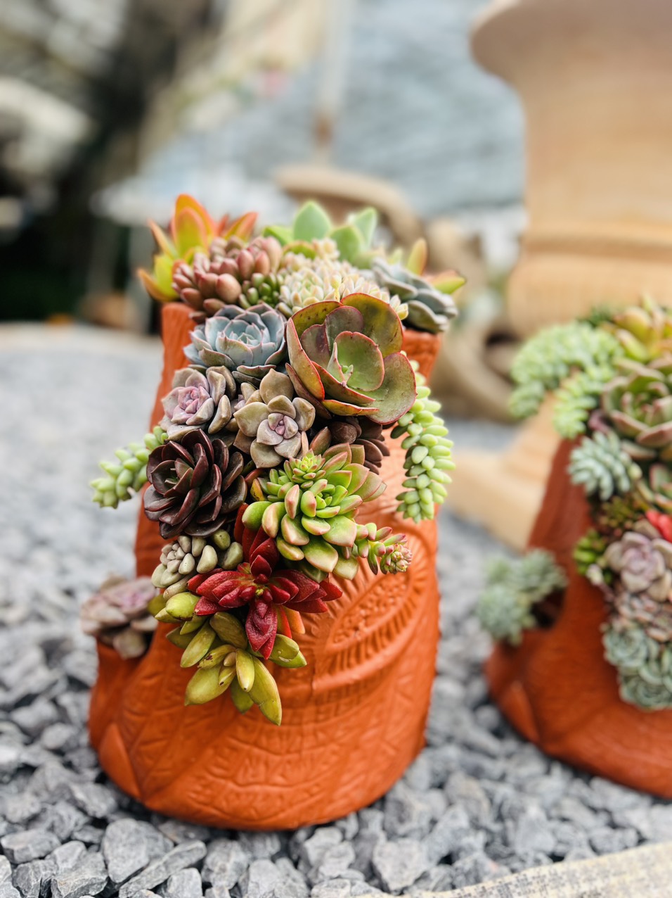 z5063814310881_f38cd13287236f0803200f2d1047d3a2