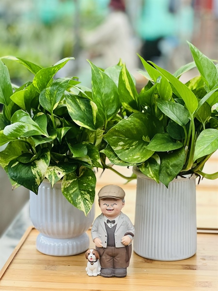 03e1914ad3144b0998f03abadcae4bb5