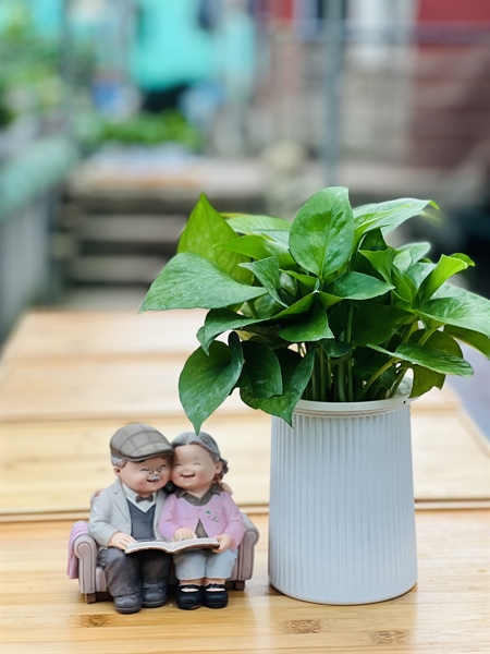 178a5ef6cd394ff38eef4ffc1d7415fe