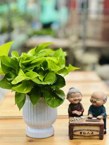 1f7eaea87d744af3b7fca65d2b67ecef