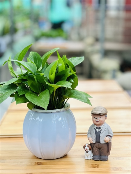 20ee108d66f543cfbebb9fd75cc5ef0c