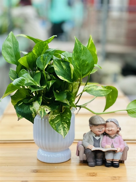 2332a32e8e0c4a80893c6bfe9e58b7ba