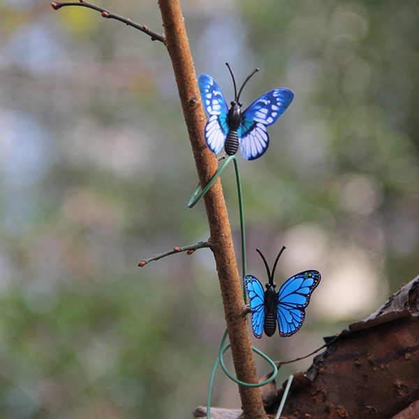 2bcd9603e3704444be8fa9068f2fb40d