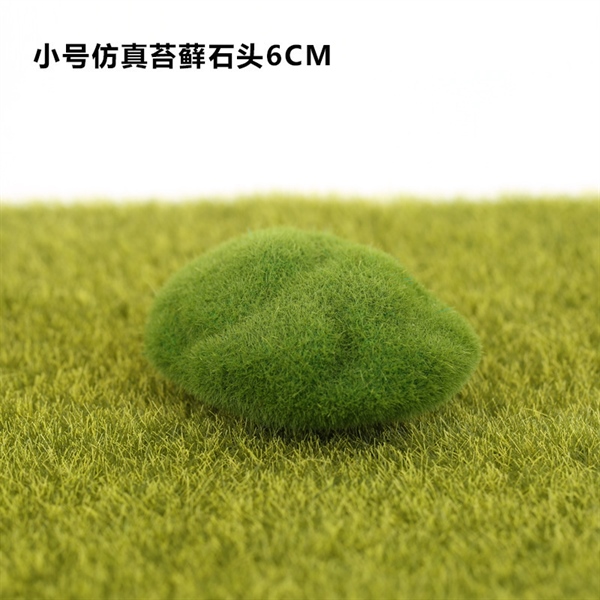 448b5f5a20634f3cacaf6b72cd50214e