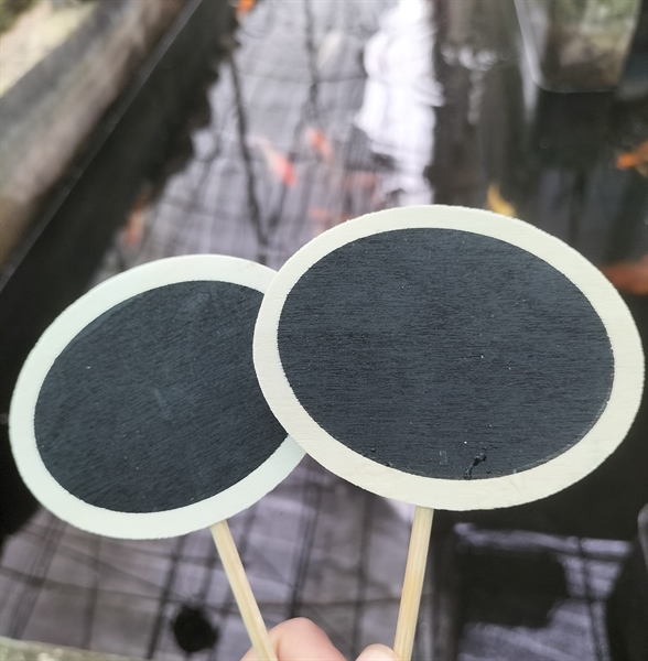 471025d793ca48108d7c58b5e7619d2d