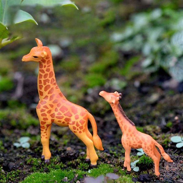 4994781e61ad4373bae84cbfec224efa