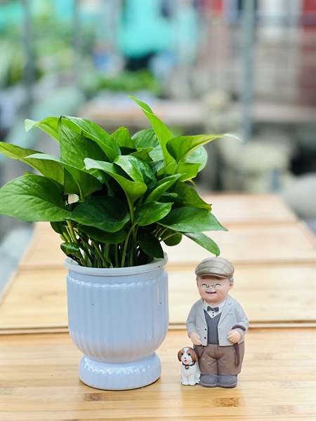 55b0e18198724d818e55b3bbcddadc4c