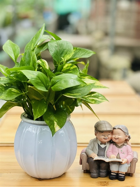 5aef457925214af0812b0bc0cd006b4e