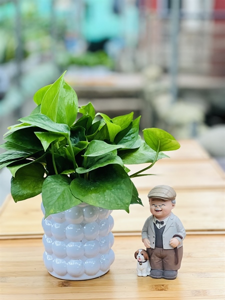 81831d5670374c869e58f9435cc9d5ca