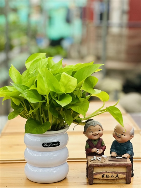 837c175810994d6bb1e2ca54be189713