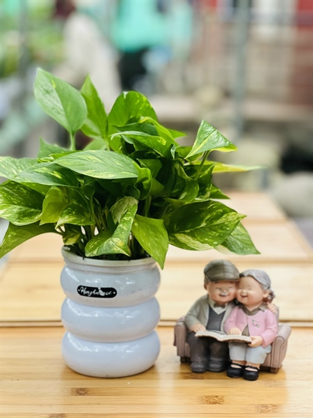 981675a95f4a4a89a9b20ad1f9f071b1