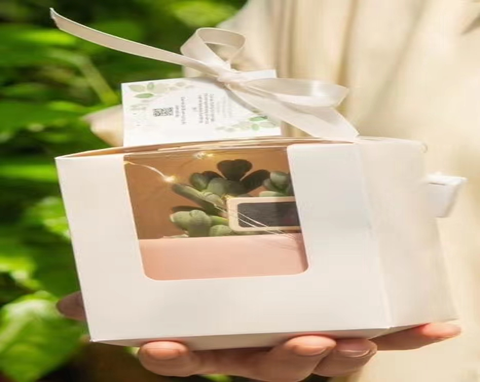 becdc2951497476a98f69aa485345ae8