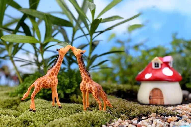 cca9287ad7034218a019aebd2ce32648