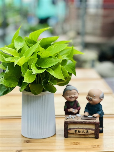 f745d756a93444cfa9face0f0b656586