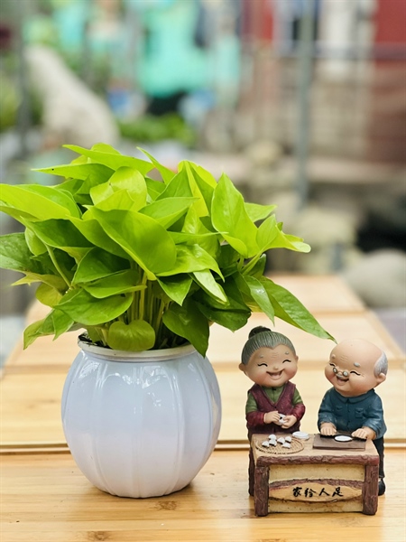 ff5d6057f4284d799417d03e93d42041