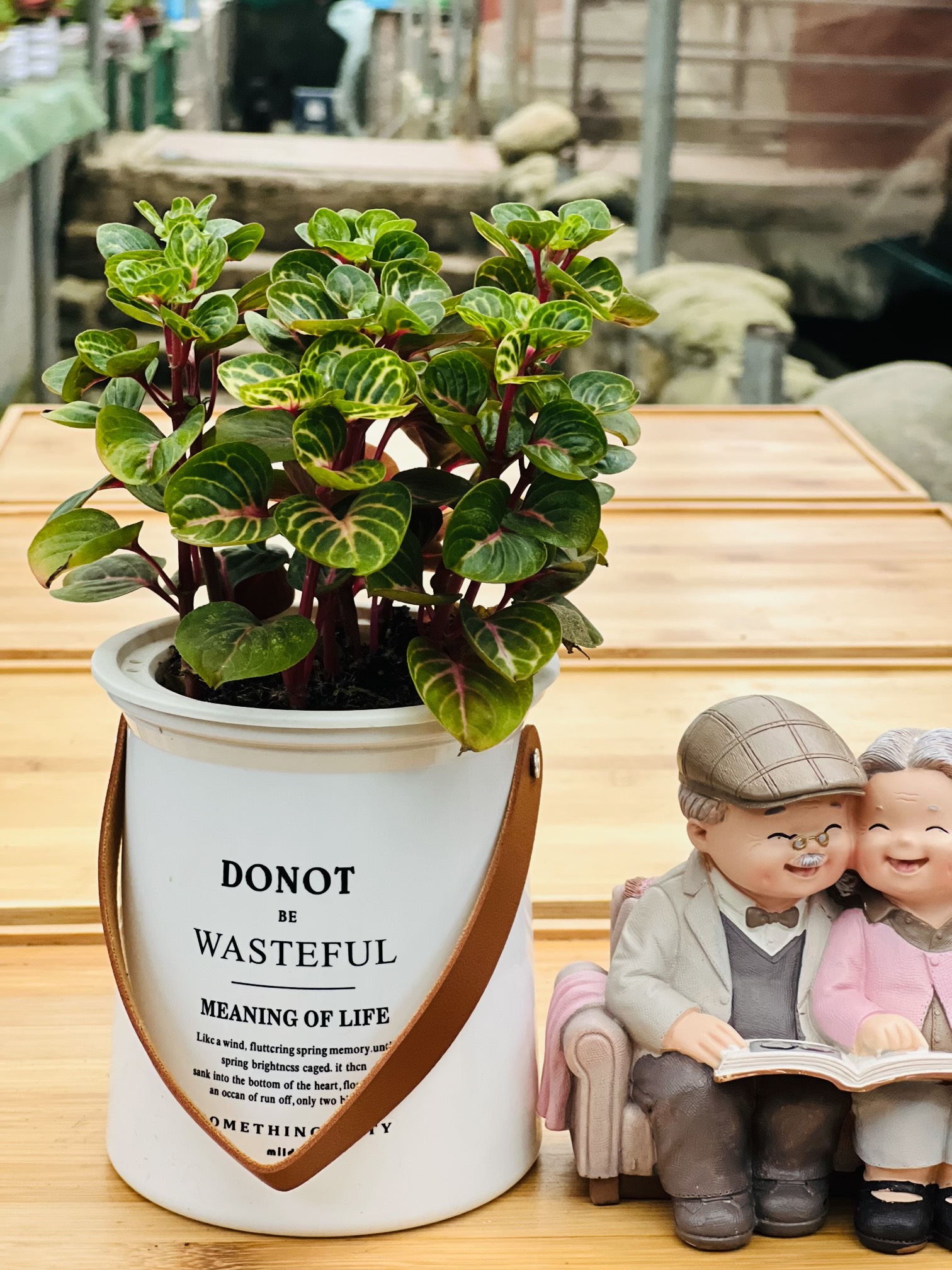 z5250546162626_3a645dcb289d3e0b869151f7d7ddab37