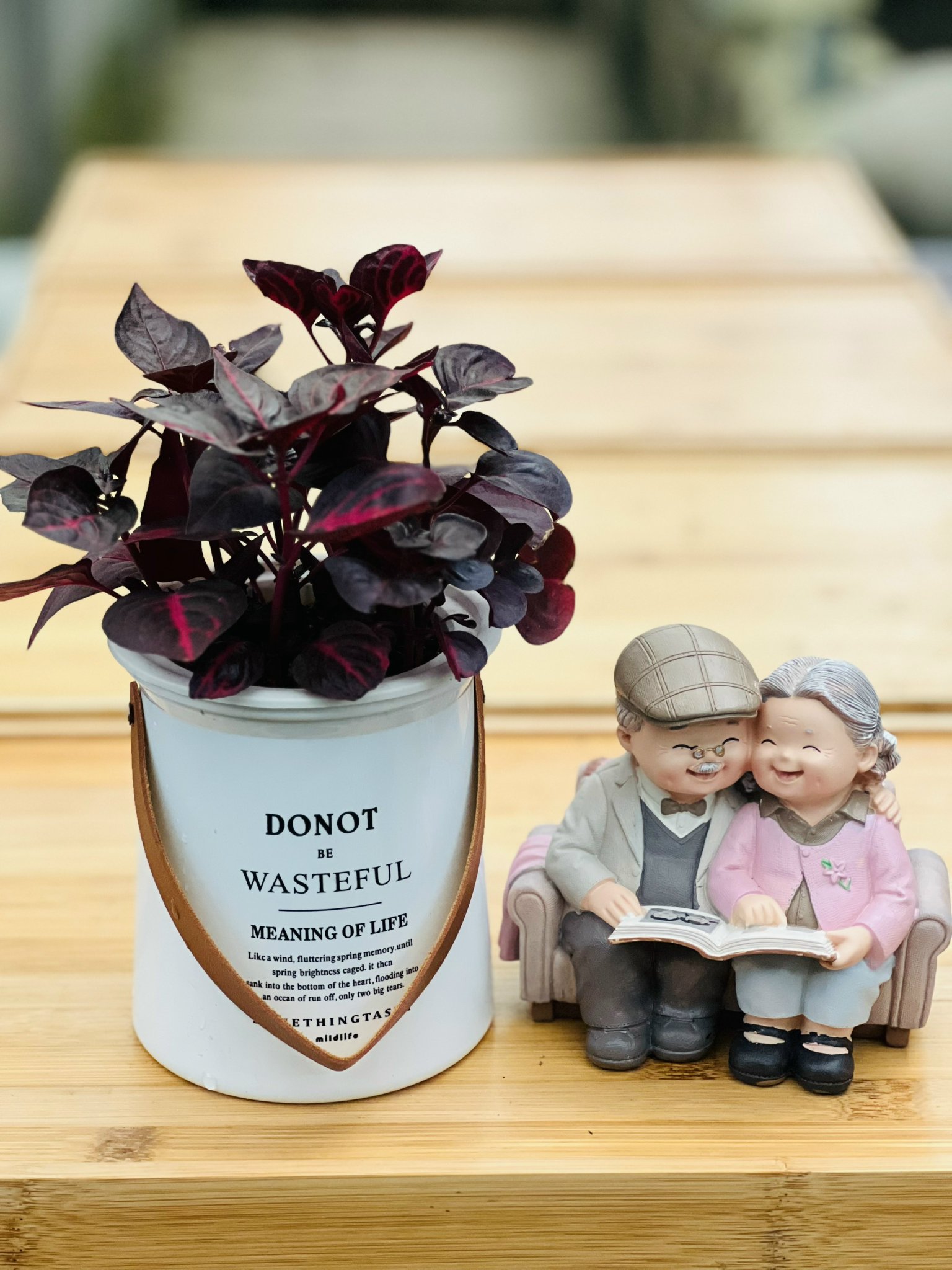 z5250546169685_8815063c1eef6c8e29088ca8edbee9a4