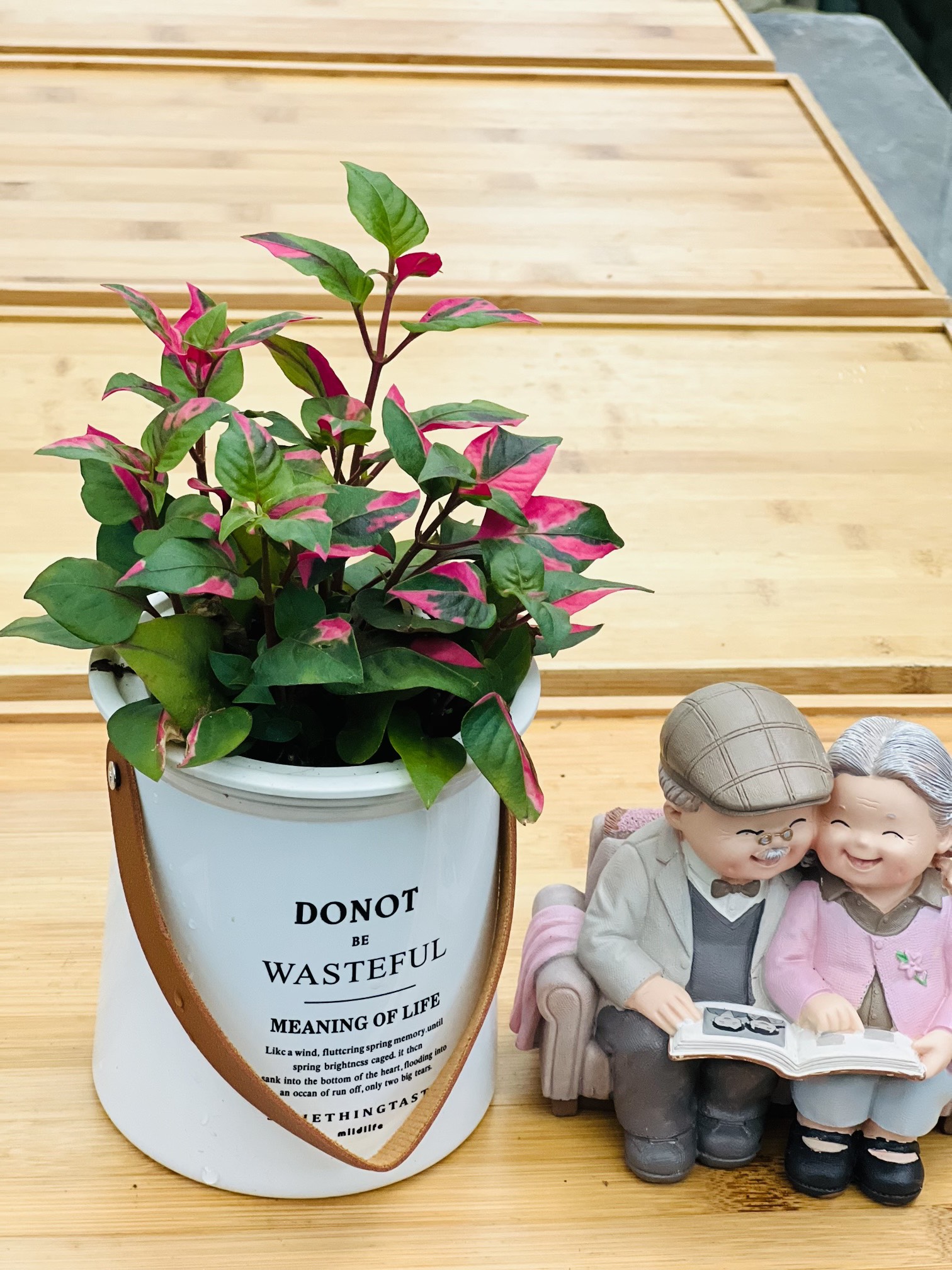 z5250546173704_c31a7522780232200b367f918f0d48f6